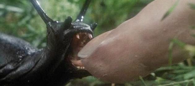 Retro Review - SLUGS (1988) - PopHorror