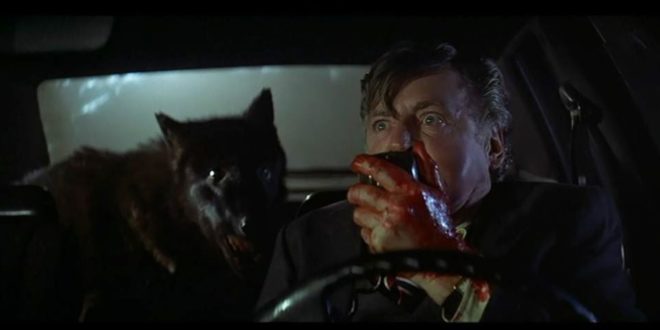 Pophorror Takes A Look Back At Wolfen 1981 36 Years